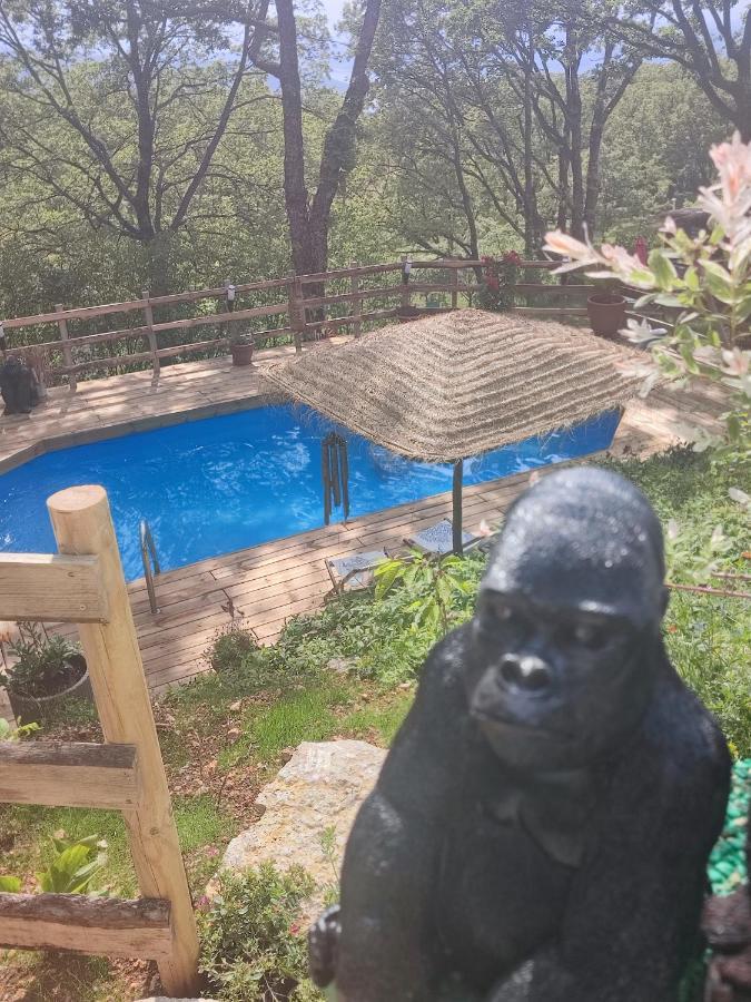 艾吉纳La Lyalis住宿加早餐旅馆 外观 照片