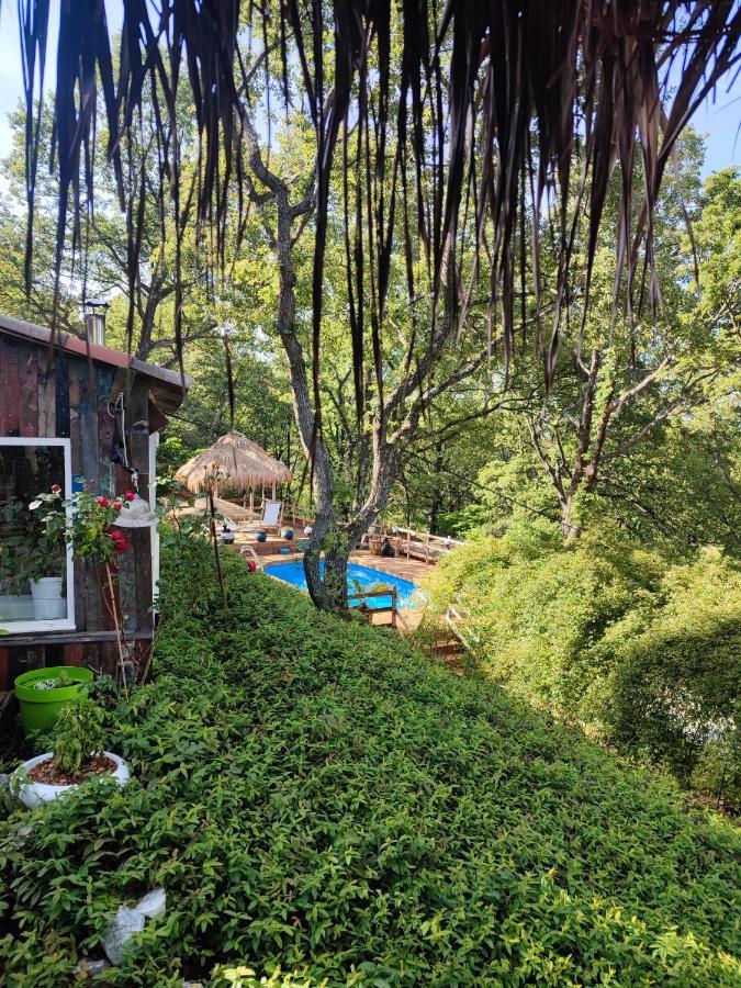 艾吉纳La Lyalis住宿加早餐旅馆 外观 照片
